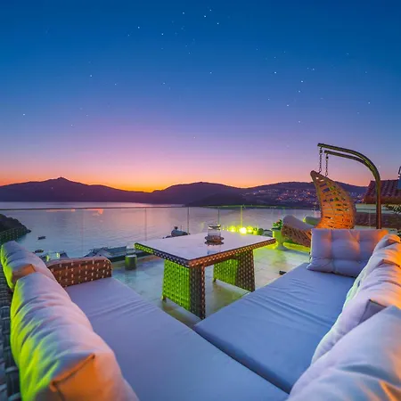 White فيلة كاس